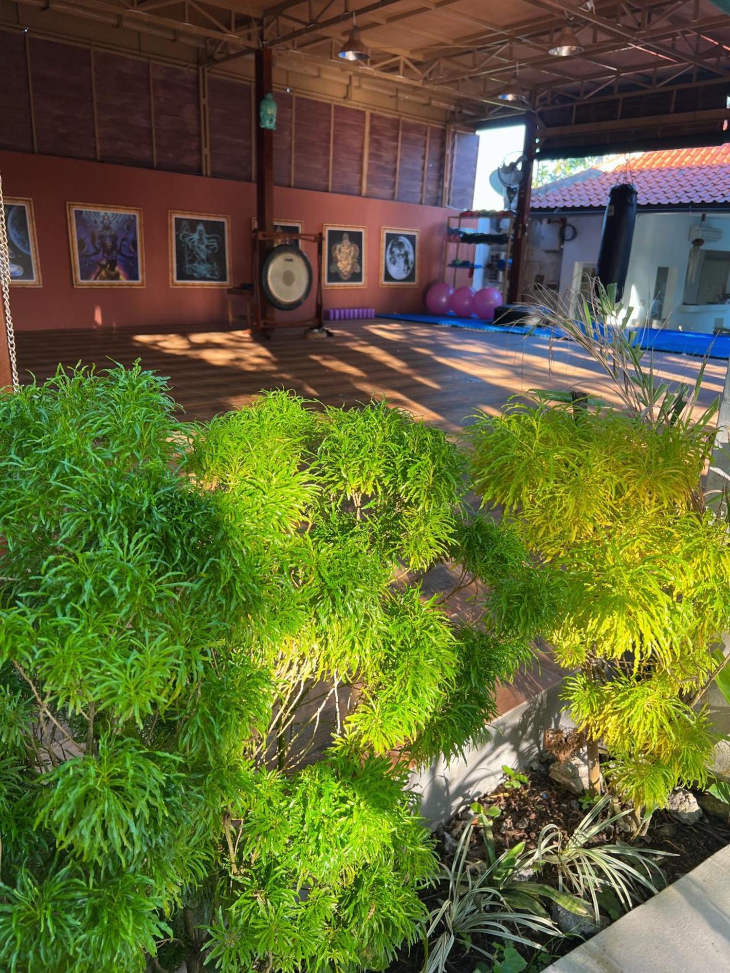 Villa Neshama Canggu Exterior foto